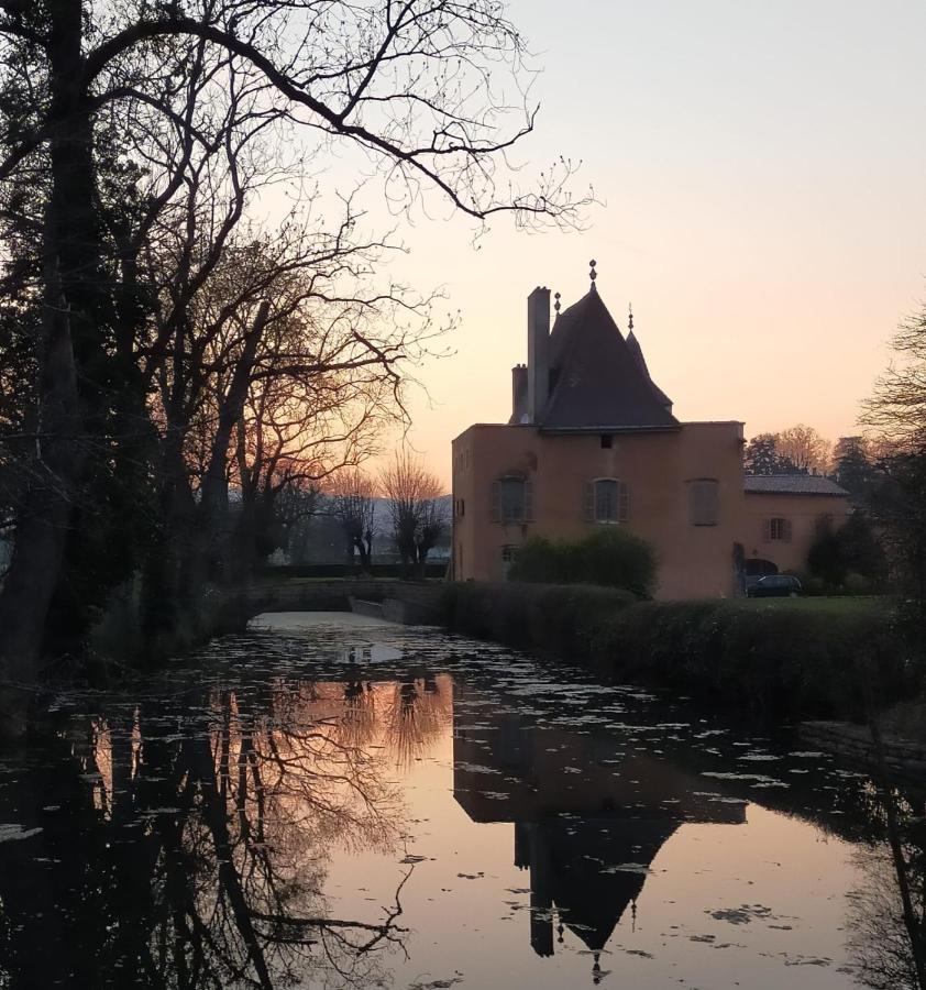 Chateau de la Venerie Denicé Exterior foto