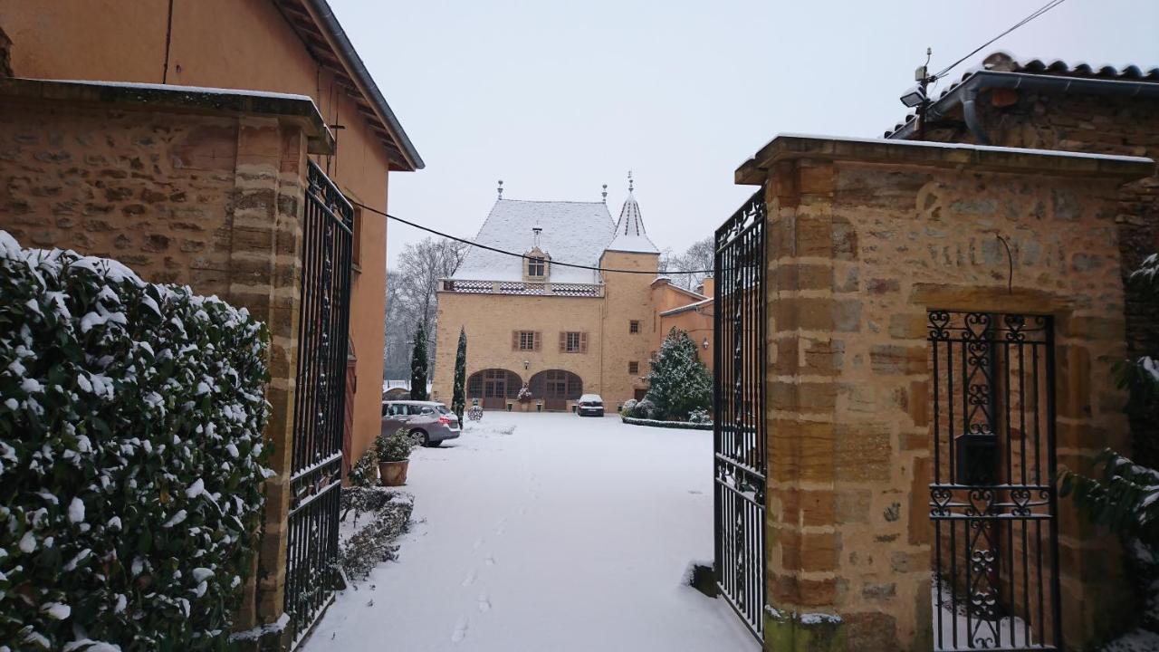 Chateau de la Venerie Denicé Exterior foto