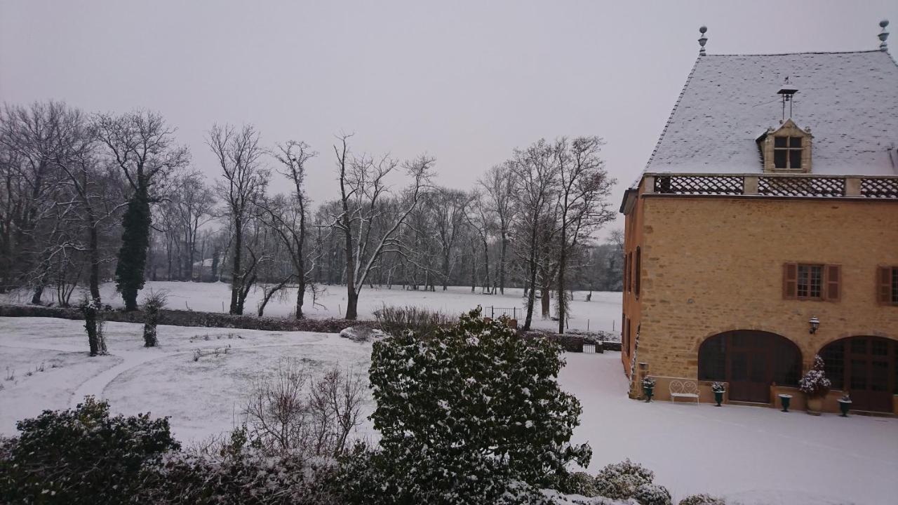 Chateau de la Venerie Denicé Exterior foto